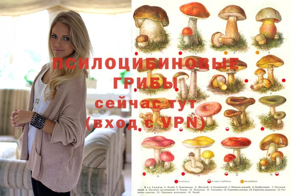 ешки Абаза