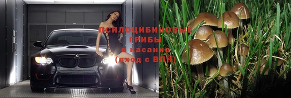 МДПВ Абдулино