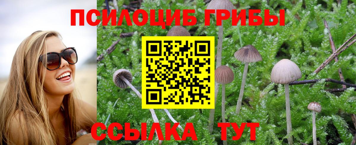 Красноуфимск  Галлюциногенные грибы мицелий  Вход с VPN 