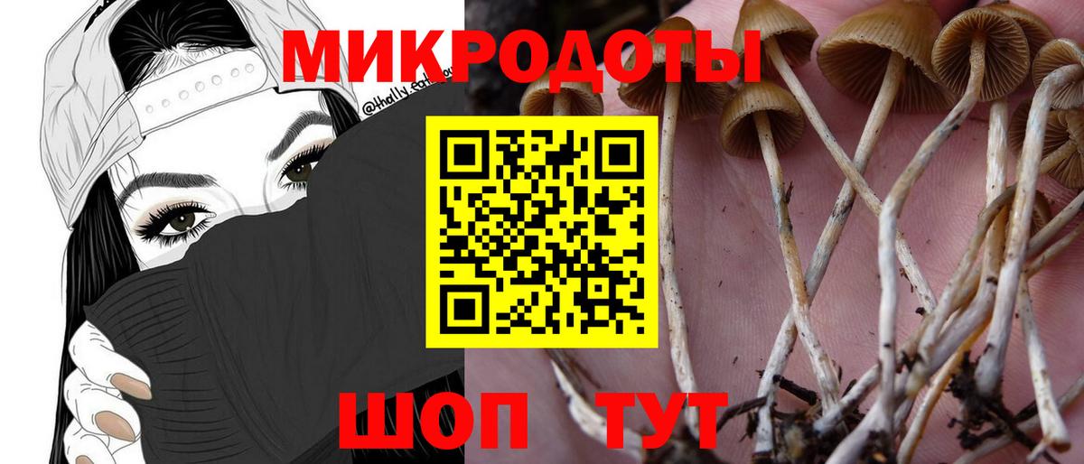 Галлюциногенные грибы MAGIC MUSHROOMS Красноуфимск